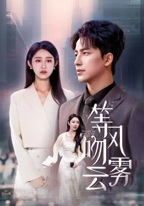 长夜微光 热播剧集在线观看